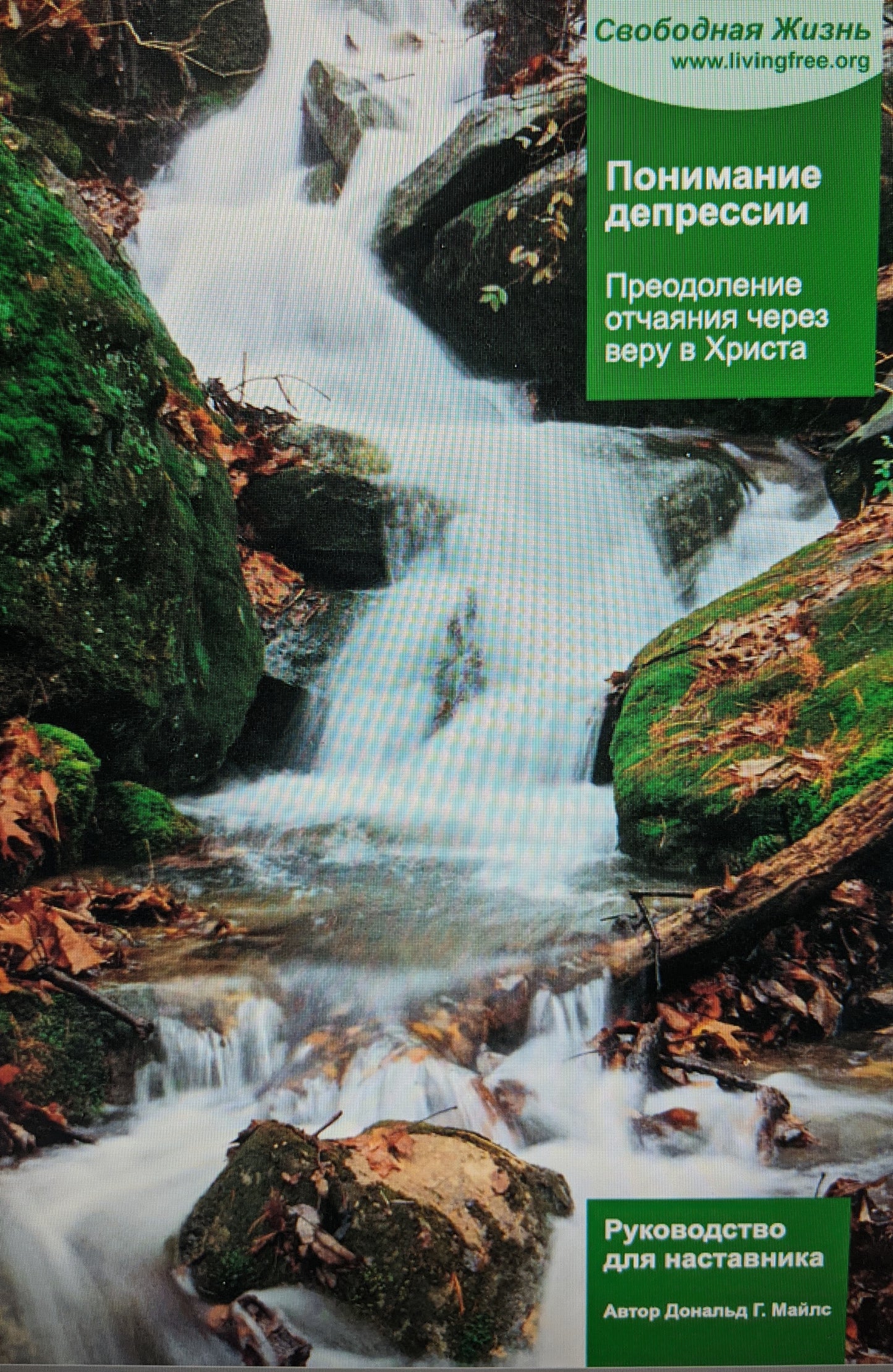Russian Understanding Depression Group Member's Guide Download