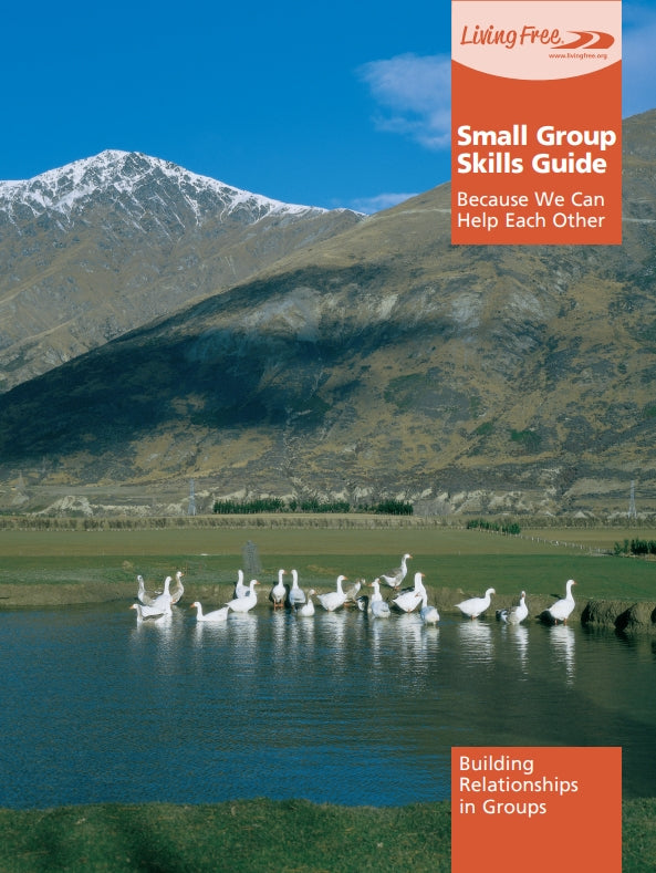 Small Group Skills Guide