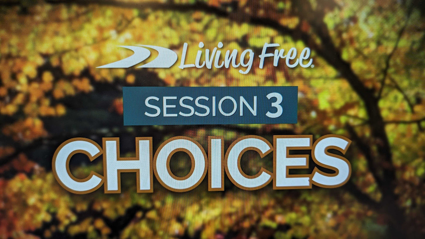 Living Free Workshop Session 3 of 4 - CHOICES - MP4 Download