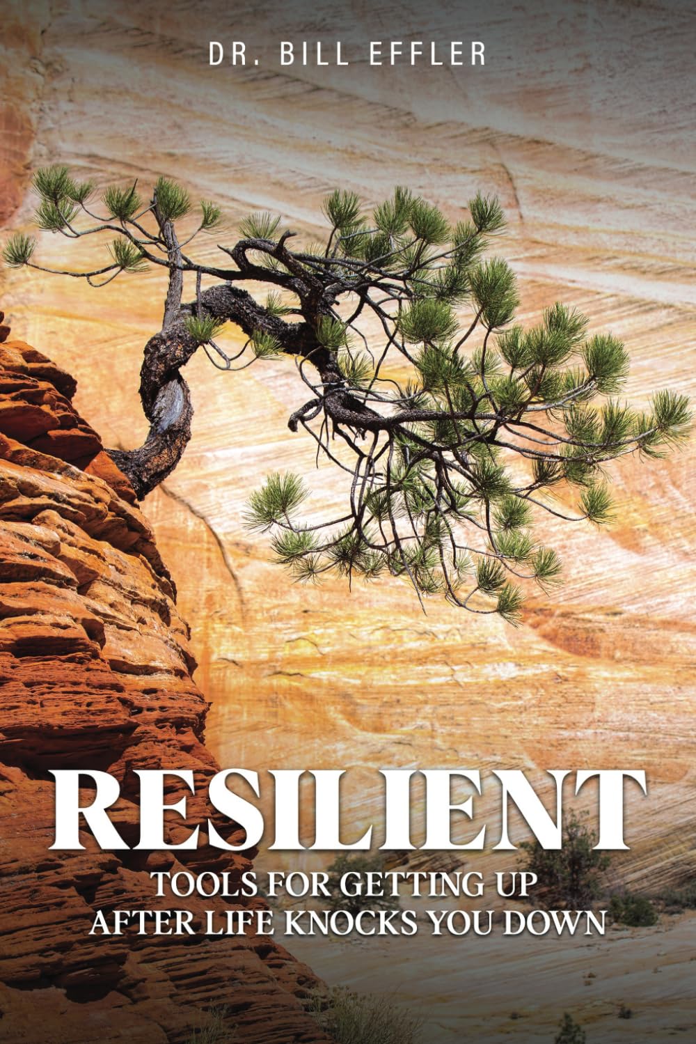 Resilient: Tools For Getting Up After Life Knocks you Down