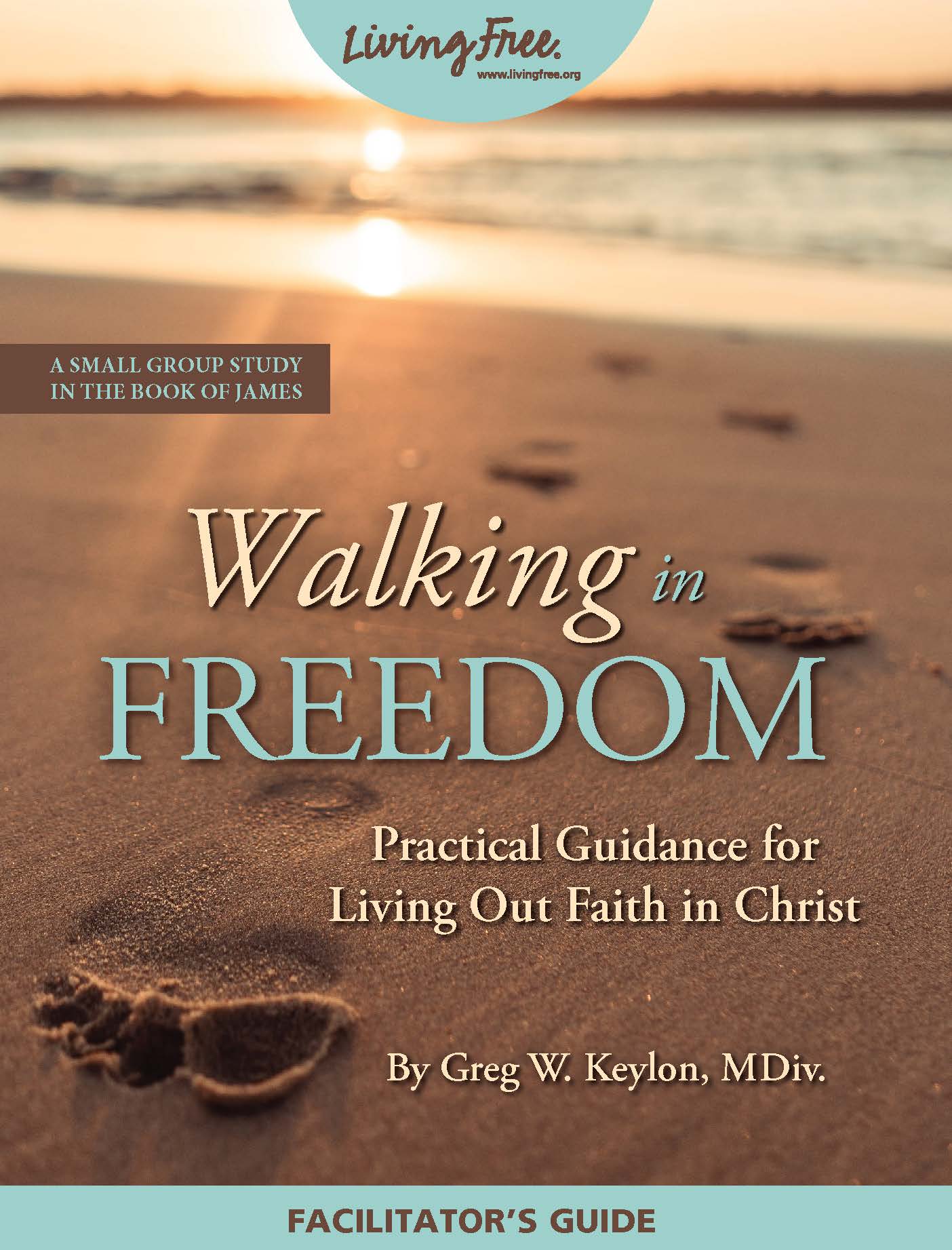 Walking in Freedom Facilitator Guide – Living Free