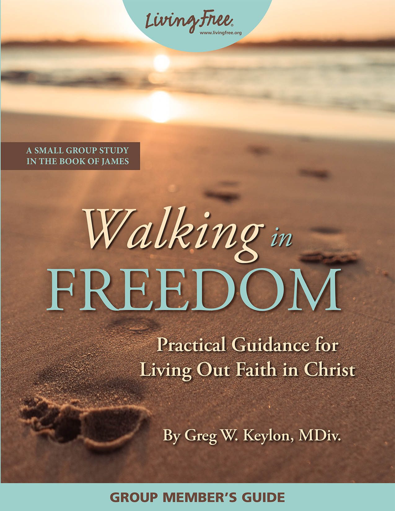 Walking in Freedom Group Member Guide – Living Free